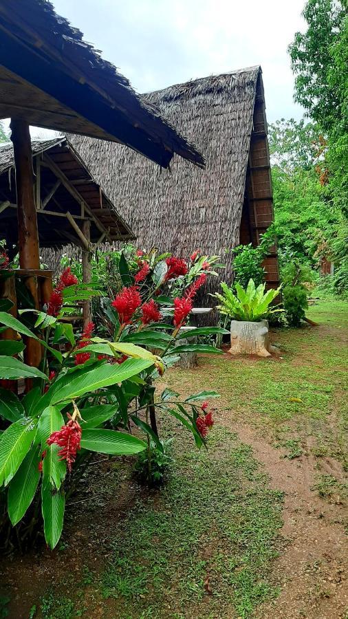 Travis Post Homestay Siquijor Extérieur photo